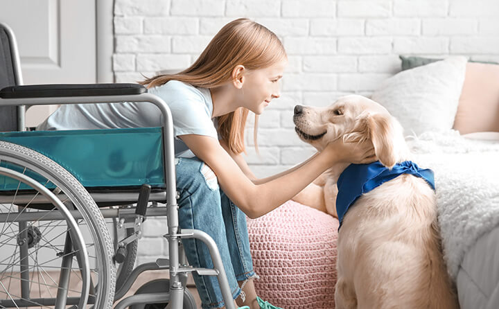 アニマルセラピーの一覧ページ Pepelu ペペル