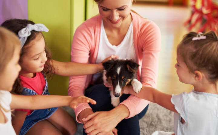 動物介在教育って何？国内の3つの事例について