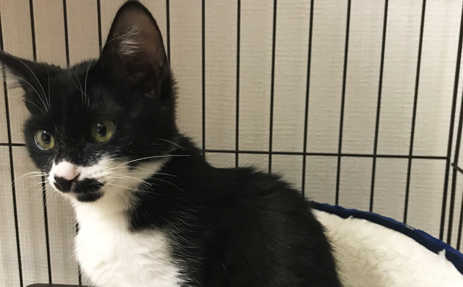 はな の成長日記vol.01