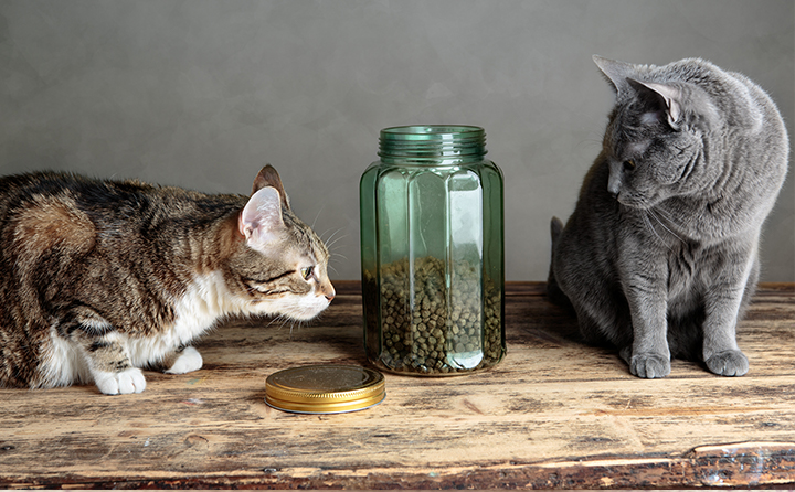 ドライフードとウェットフードのメリット・デメリット