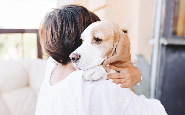 犬の神経痛の原因とは？見分けるためのサインや治療法も紹介