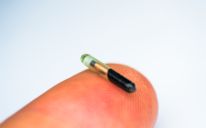 マイクロチップの登録はどのように行うの？マイクロチップのメリットデメリットも紹介