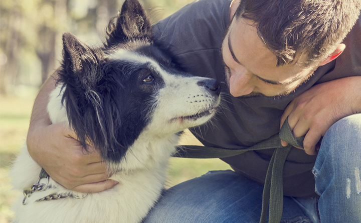 犬のしつけ方としつけに対する姿勢