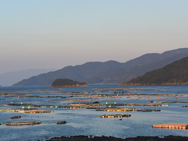 養魚用フィードオイル
